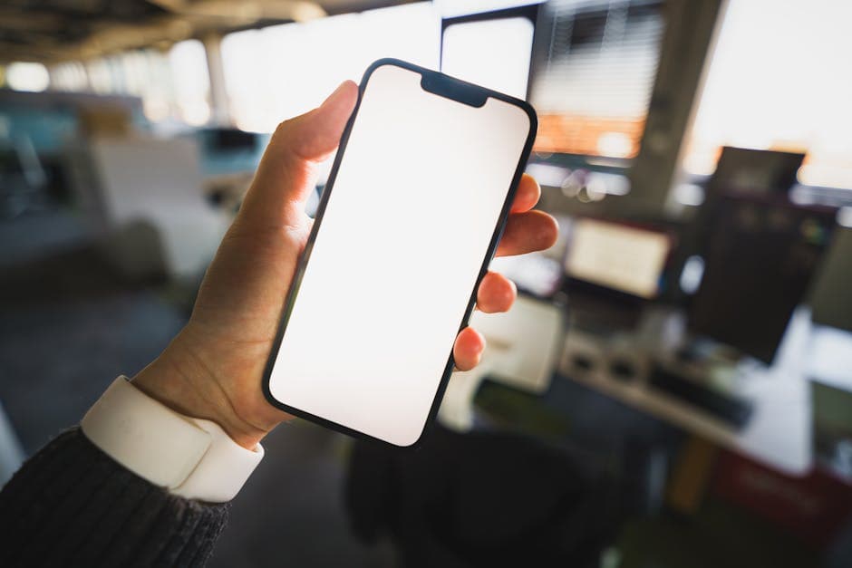 Web Application & Mobile App Development